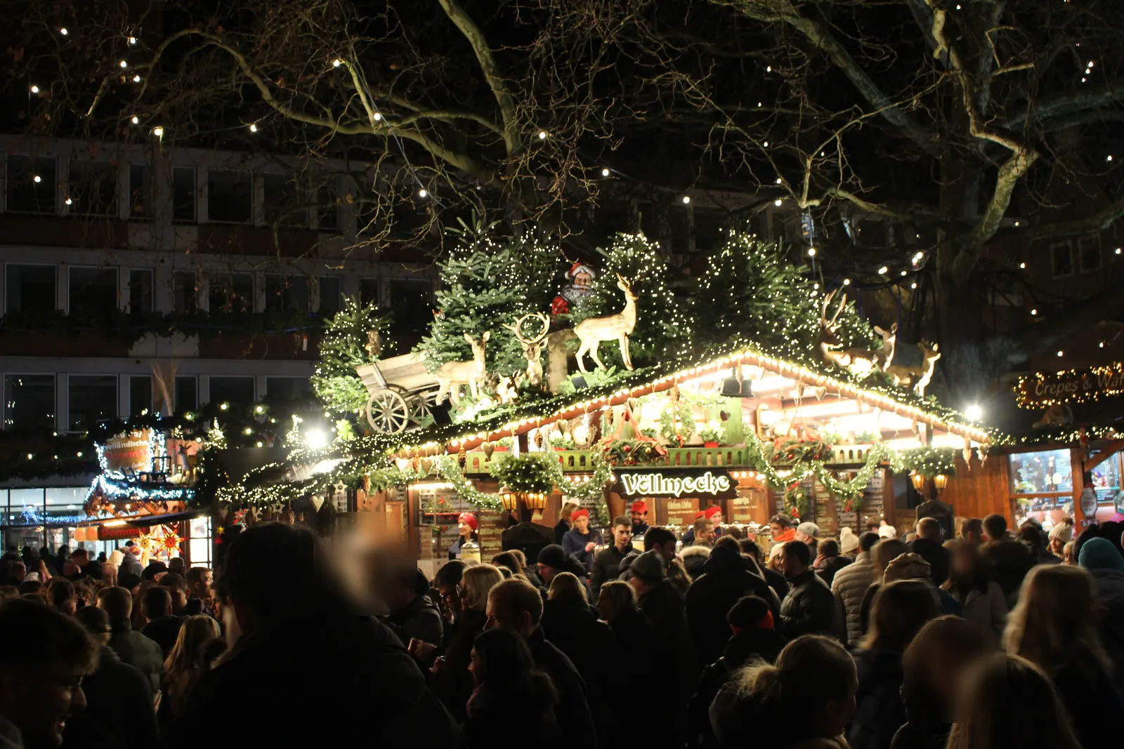 Christmas market around the Town Hall in Münster: a stall festively decorated with deer and light garlands in the Town Hall courtyard.